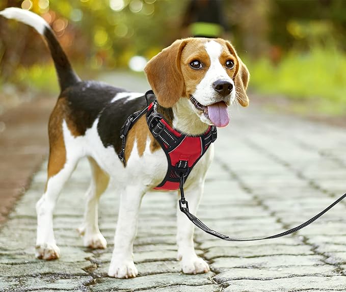 PoyPet No Pull Dog Harness, No Choke Front Clip Dog Reflective Harness, Adjustable Soft Padded Pet Vest with Easy Control Handle for Small to Large Dogs(Red,S) PoyPet