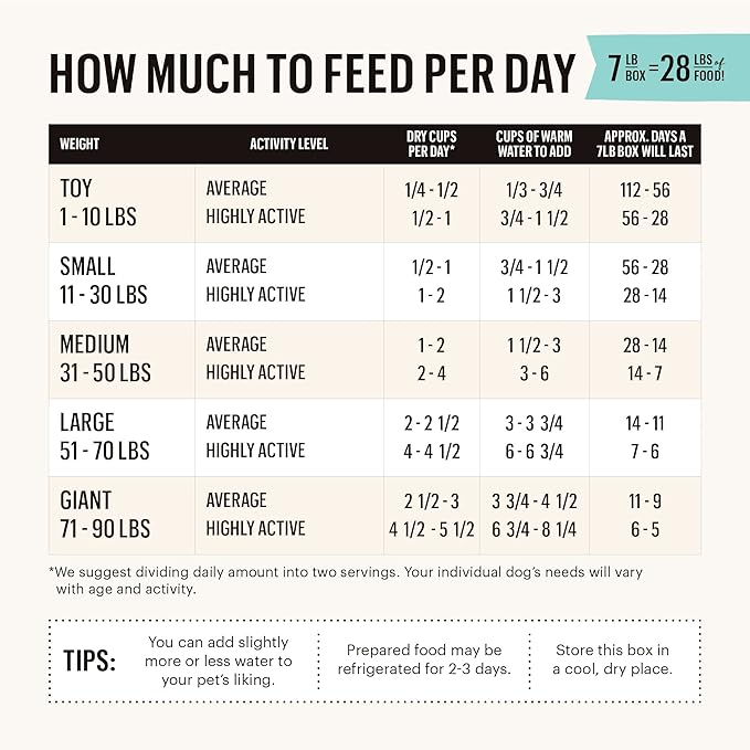 The Honest Kitchen Dehydrated Whole Grain Beef Dog Food, 7 lb Box, 7.00 Pound (Pack of 1) - PAWPICO