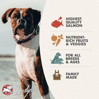 Fromm Four-Star Nutritionals Salmon A La Veg Dog Food (4 lb) - PAWPICO