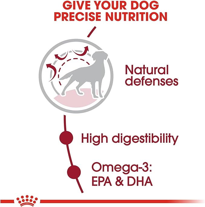 Royal Canin Medium Breed Adult Dry Dog Food, 30 lb bag - PAWPICO