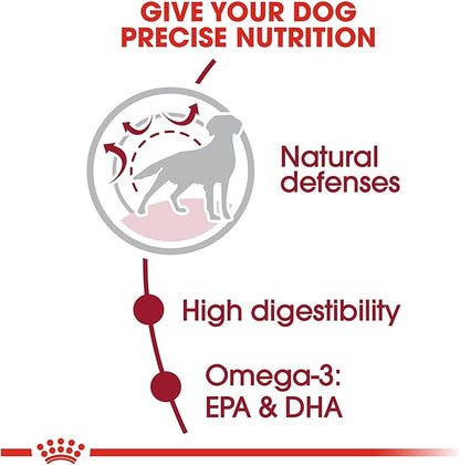 Royal Canin Medium Breed Adult Dry Dog Food, 30 lb bag - PAWPICO