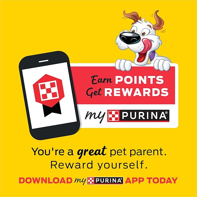 Purina Beggin' With Real Meat Dog Treats, Fun Size Original With Bacon Flavor - 25 oz. Pouch - PAWPICO