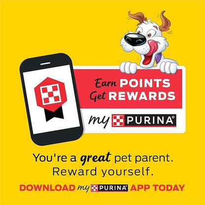 Purina Beggin' Strips With Real Meat Dog Treats With Bacon and Beef Flavors - (Pack of 2) 26 oz. Pouches - PAWPICO