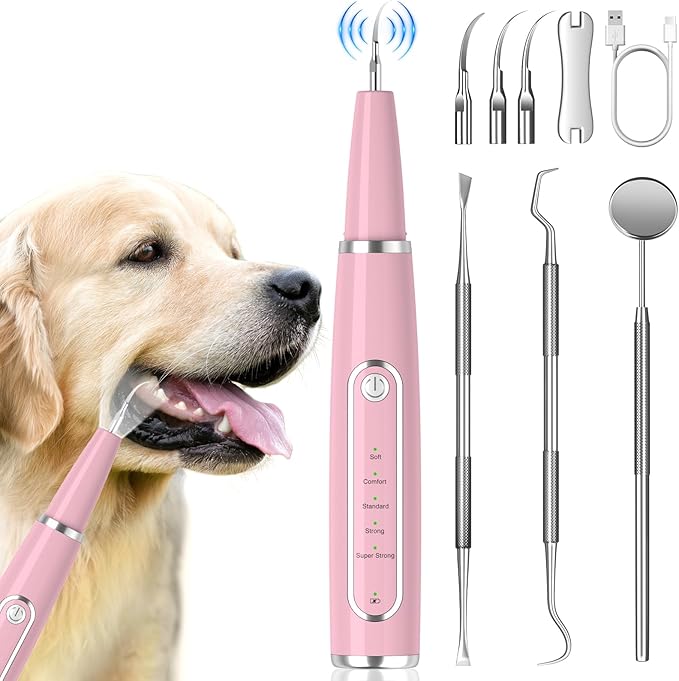 Dog Plaque Remover for Teeth, Dog Teeth Cleaning Kit with LED Light and 5 Modes, Teeth Cleaning for Dogs and Cats,Pink MIONJO