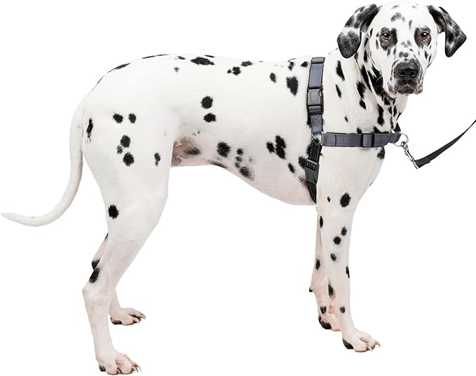 PetSafe Easy Walk Deluxe Dog Harness, No Pull Dog Harness – Perfect for Leash & Harness Training – Stops Pets from Pulling and Choking on Walks – Large, Steel PetSafe