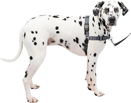 PetSafe Easy Walk Deluxe Dog Harness, No Pull Dog Harness – Perfect for Leash & Harness Training – Stops Pets from Pulling and Choking on Walks – Large, Steel PetSafe