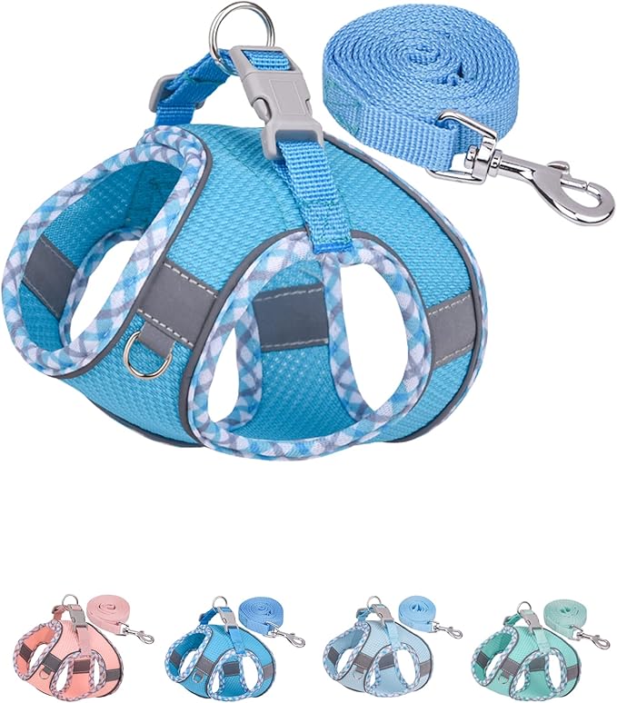 Petank Dog Harness for Small Medium Dogs No Pull, Puppy Harness and Leash Set, Easy Walk Dog Harness for Walking, Running, Training, Small Dog Harness, Medium Dog Harness (Bule, M) Petank