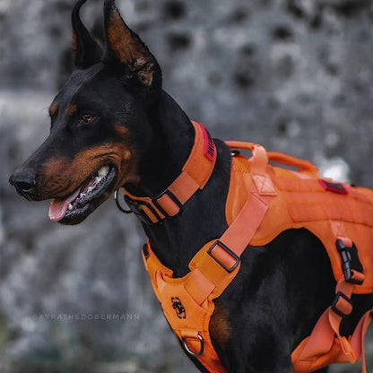 OneTigris Mesh Design Tactical No Pull Dog Harness for Large Dog, Breathable Service Dog Vest Harness with Handle, Military Dog Harness with Molle Panels for Walking Hiking Training (Orange, X-Large) OneTigris