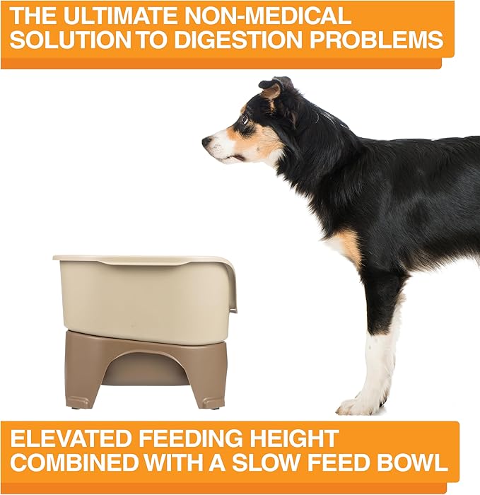 Neater Feeder - Express Model w/Slow Feed Bowl - Mess-Proof Dog Bowls (M/L, Cappuccino) Made in USA –Elevated, No Spill, Non-Tip, Non-Slip, Raised Stainless Steel Food/Water Pet Bowls Aid Digestion - PAWPICO