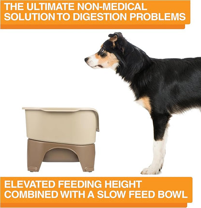 Neater Feeder - Express Model w/Slow Feed Bowl - Mess-Proof Dog Bowls (M/L, Cappuccino) Made in USA –Elevated, No Spill, Non-Tip, Non-Slip, Raised Stainless Steel Food/Water Pet Bowls Aid Digestion - PAWPICO