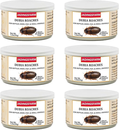 6 Pack Canned Dubia Roaches for Reptiles, Fish, Birds and Small Animals, Dubia Roaches, Healthy High Protein Treat, Reptile Bird Fish Food 7.2 Ounces Total Jadingfarm