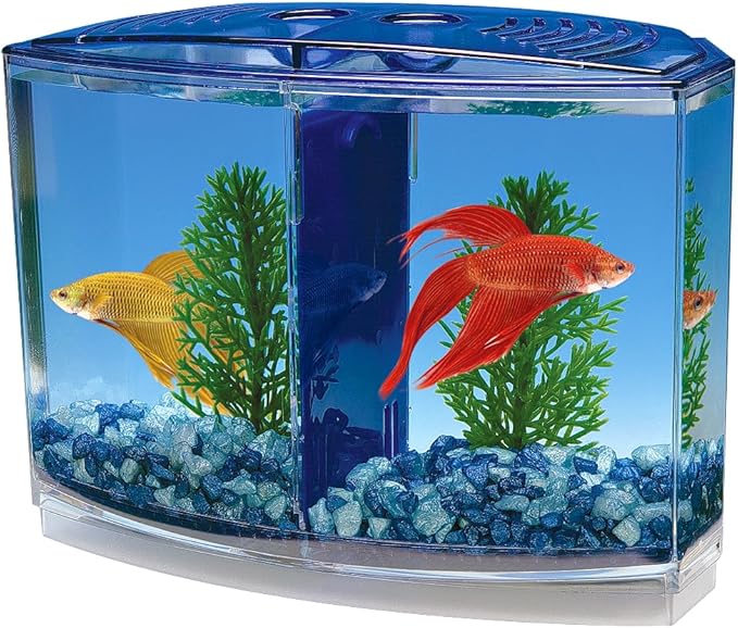 Penn-Plax Twin Betta Bow-Front Kit for Aquarium Blue, Green, Tank is 7.5" Across The Front, 6" Across The Back Penn-Plax
