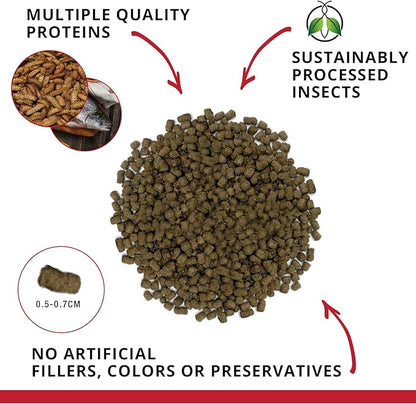 Fluval Bug Bites Cichlid Fish Food, Pellets for Medium to Large Sized Fish, 3.53 oz., A6581 (Pack of 2) Fluval
