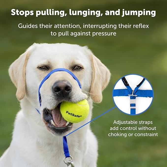 PetSafe Gentle Leader No-Pull Dog Headcollar - The Ultimate Solution to Pulling - Redirects Your Dog's Pulling for Easier Walks - Helps You Regain Control - Small, Fawn PetSafe
