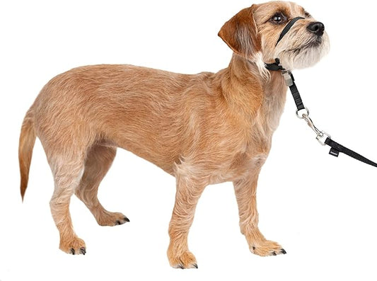PetSafe Gentle Leader No-Pull Dog Headcollar - The Ultimate Solution to Pulling - Redirects Your Dog's Pulling for Easier Walks - Helps You Regain Control - Small, Black PetSafe