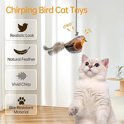 Chirping Bird Cat Toys Hanging Cat Feather Toy - Catnip Interactive Cat Toys for Indoor Cats - Automatic Cat Toy for Cat Exercise & Kicker to Self Play (Gray New) - PAWPICO