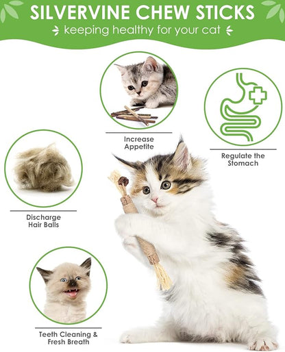 TINDTOP Catnip Chew Toys for Cats, 12 Pack Natural Silvervine Sticks for Kittens Teeth Cleaning, Matatabi Dental Care, Increase Appetite, Calm Cat Anxiety and Stress, Aggressive Chewers Cat Dental Toy - PAWPICO