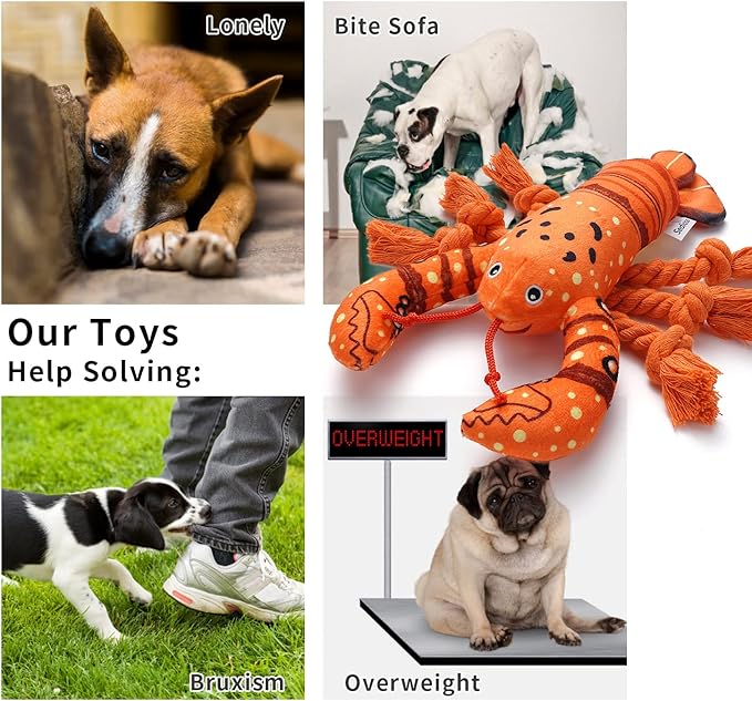 Sedioso Dog Toys, Dog Plush Toy for Large Breed, Cute Squeaky Dog Toys with Crinkle Paper, Dog Chew Toys for Puppy, Small, Middle, Big Dogs (Lobster) - PAWPICO