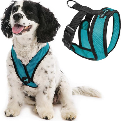 Gooby Comfort X Head in Harness - Turquoise, X-Large - No Pull Small Dog Harness, Patented Choke-Free X Frame - On The Go Dog Harness for Medium Dogs No Pull, Small Dogs for Indoor and Outdoor Use Gooby