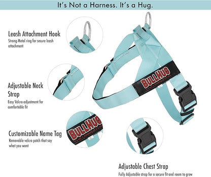 BULLHUG Harness – Made for Larger Chested Dogs Like English Bulldogs, French Bulldogs, Pugs & More. Stops Dogs from Pulling & Choking on Walks (Teal, Medium) BULLHUG