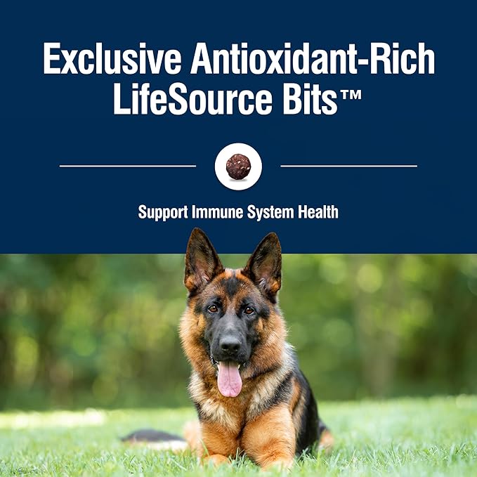 Blue Buffalo True Solutions Blissful Belly Digestive Care Natural Dry Food for Adult Dogs, Chicken, 11-lb Bag - PAWPICO