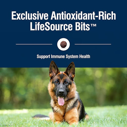 Blue Buffalo True Solutions Blissful Belly Digestive Care Natural Dry Food for Adult Dogs, Chicken, 11-lb Bag - PAWPICO