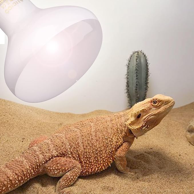 Aiicioo Reptile Basking Light Bulb - 150W Reptile Heat Lamp Basking Bulb for Bearded Dragon Turtle Hermit Crab Gecko Lizard Daylight AIICIOO