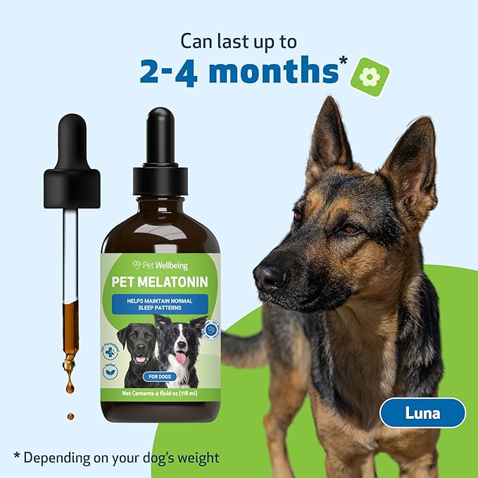 Pet Wellbeing Pet Melatonin for Dogs - Supports Adrenal Health, Cortisol Balance, Helps Maintain Normal Sleep Patterns - Veterinarian-Formulated Liquid Supplement 4 fl oz (118 ml) PetWellbeing