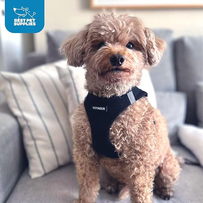 Voyager Step-in Air Dog Harness - All Weather Mesh, Reflective, No Pull Harness for Small, Medium Dogs, Cats - Secure with Hook & Loop Fastener, Buckle, Double D-Rings - Black, XL BestPetSuppliesLLC