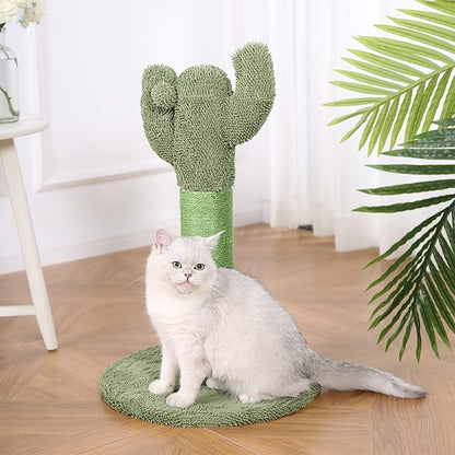Amazon Basics Cactus Cat Scratching Post with Dangling Ball, 25.6 Inches, Green - PAWPICO