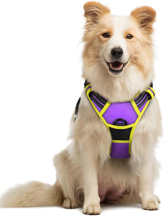 rabbitgoo Dog Harness No Pull with 2 Leash Clips, Adjustable Soft Padded, Reflective Oxford No Choke Pet Vest with Easy Control Handle for Medium Sized Dogs, Purple & Yellow, M rabbitgoo