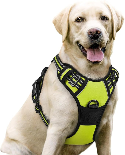 rabbitgoo Dog Harness No Pull with 2 Leash Clips, Adjustable Soft Padded, Reflective Oxford No Choke Pet Vest with Easy Control Handle for Large Dogs, Green, L rabbitgoo