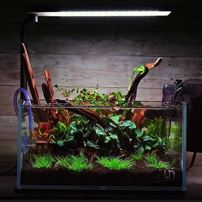 majoywoo Natural Small Coral Driftwood for Aquarium Decor Fish Tank Decorations, Assorted Driftwood Branch 4.5-7.5" 5 Pcs, Reptile Decor Majoywoo