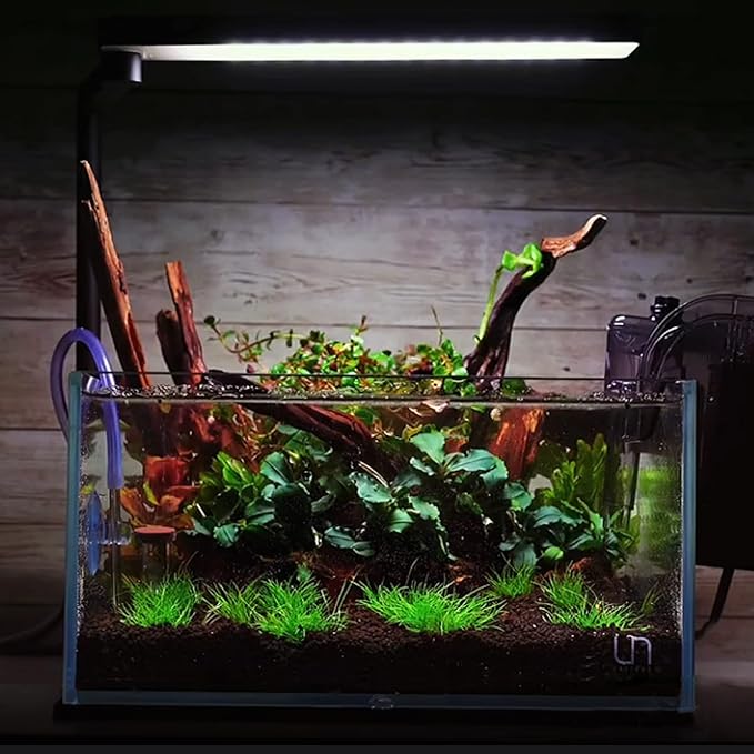 majoywoo Natural Small Coral Driftwood for Aquarium Decor Fish Tank Decorations, Assorted Driftwood Branch 4.5-7.5" 5 Pcs, Reptile Decor Majoywoo