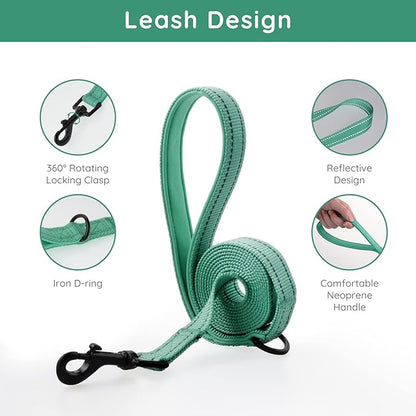 BELLA & PAL Puppy Harness with Leash Set, Dog Harness for Small Dogs No Pull, Dog Leash for Small Dogs, Step in Harness for Extra Small Dogs, Green Harness, L BELLAPAL