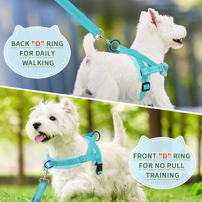 SlowTon No Pull Small Dog Harness and Leash Set, Puppy Soft Vest Harness Neck & Chest Adjustable, Reflective Lightweight Harness & Anti-Twist Pet Lead Combo for Small Medium Dogs(BL-Front Clip,S) SlowTon