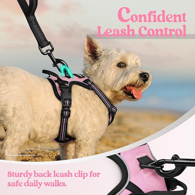 rabbitgoo Dog Harness No Pull with 2 Leash Clips, Adjustable Soft Padded, Reflective Oxford No Choke Pet Vest with Easy Control Handle for Puppy, Pink, XS rabbitgoo