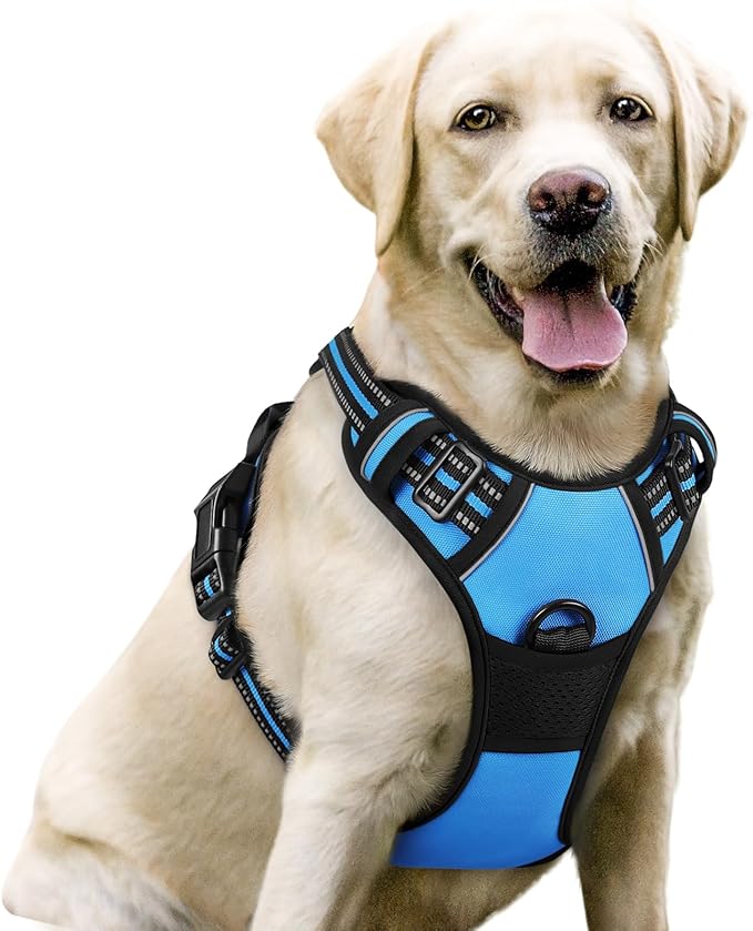 rabbitgoo Dog Harness No Pull with 2 Leash Clips, Adjustable Soft Padded, Reflective Oxford No Choke Pet Vest with Easy Control Handle for Large Dogs, Blue, L rabbitgoo