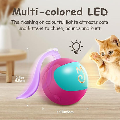 Migipaws Interactive Cat Ball Toy Set, Fun Tracker, Automatic Rolling Chase Ball with Fluffy Tail, A Small Mice, Rechargeable（Rose） - PAWPICO