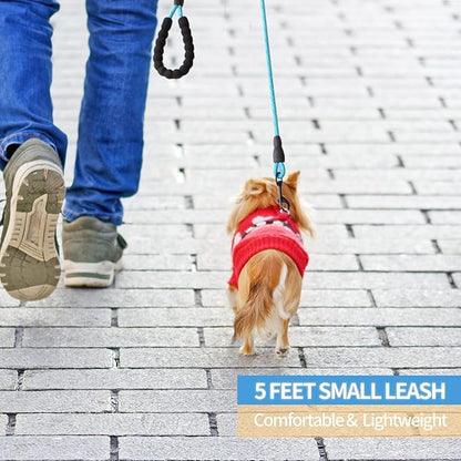 BAAPET 2/4/5/6 FT Dog Leash with Comfortable Padded Handle and Highly Reflective Threads for Small Medium and Large Dogs (5FT-1/3'', Blue) BAAPET