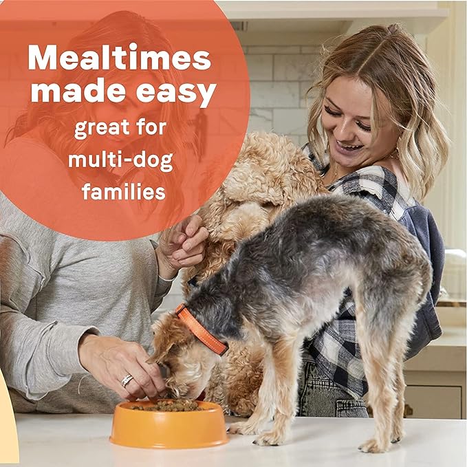 CANIDAE® All Life Stages Multi-Protein Formula Dog Dry 15 lbs. - PAWPICO