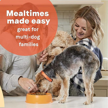 CANIDAE® All Life Stages Multi-Protein Formula Dog Dry 15 lbs. - PAWPICO