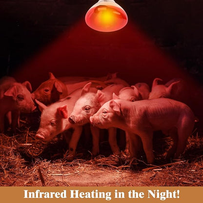 250W Red Heat Lamp Bulbs for Chicken,Infrared Flood Light Heat Lamp Bulb, Incandescent Light Heat Lamps for Chicks, Reptile, Pets, Par38 Glass E26 Base REPTIHOME