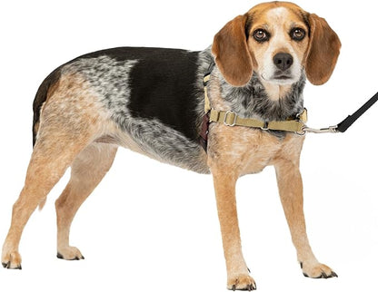 PetSafe Easy Walk No-Pull Dog Harness - The Ultimate Harness to Help Stop Pulling - Take Control & Teach Better Leash Manners - Helps Prevent Pets Pulling on Walks, Small/Medium, Fawn/Brown PetSafe