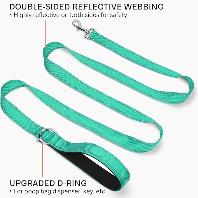 Joytale Double-Sided Reflective Dog Leash, 6 FT/5 FT/4 FT, Padded Handle Nylon Heavy Duty Leashes for Small & Medium Dogs Walking, Teal, 6FT Joytale