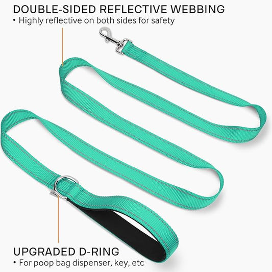 Joytale Double-Sided Reflective Dog Leash, 6 FT/5 FT/4 FT, Padded Handle Nylon Heavy Duty Leashes for Small & Medium Dogs Walking, Teal, 6FT Joytale