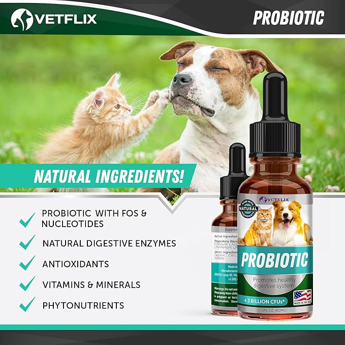 Premium Probiotics for Dogs & Cats - Digestive Enzymes & Prebiotics Supplement - Helps to Relieve Diarrhea, Vomiting, Upset Stomach, Gas, Constipation & Bad Breath - Supports Healthy Digestive System Vetflix