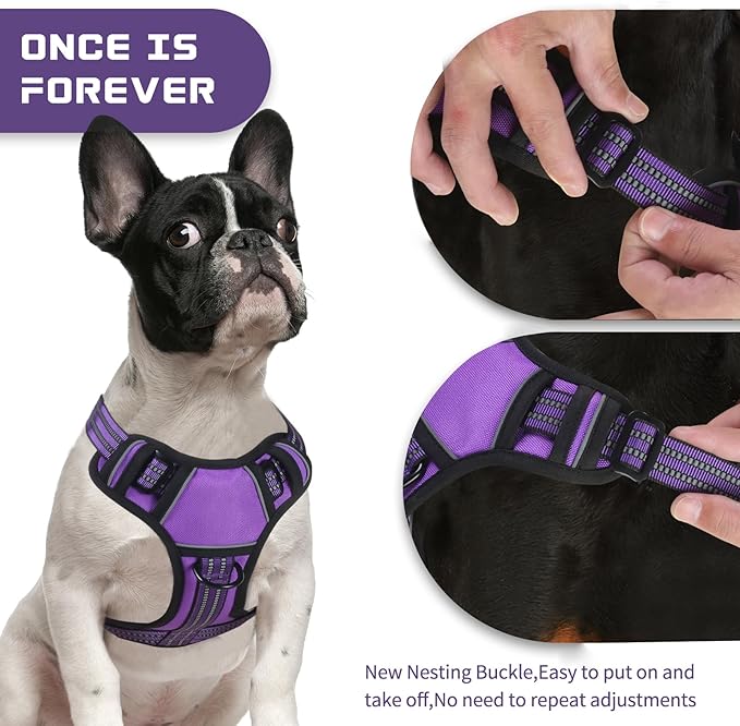 BUMBIN Dog Harness for Large Dogs, No Pull Adjustable No Choke Pet Vest with Dog Leash Fit Smart Reflective Pet Walking Harness for Training Easy Control Soft Handle Purple S BUMBIN