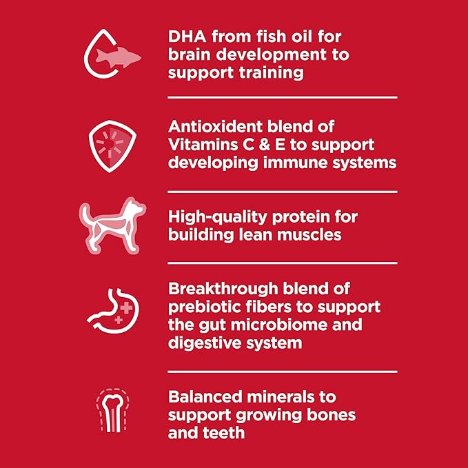 Hill's Science Diet Puppy, Puppy Premium Nutrition, Small Kibble, Dry Dog Food, Chicken & Brown Rice, 4.5 lb Bag - PAWPICO