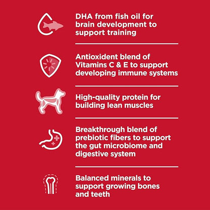 Hill's Science Diet Puppy, Puppy Premium Nutrition, Small Kibble, Dry Dog Food, Chicken & Brown Rice, 4.5 lb Bag - PAWPICO